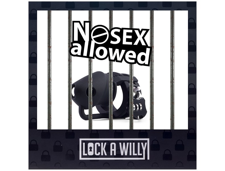 Klatka Na Penisa Lock-a-Willy - 4